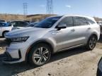 2023 KIA Sorento EX