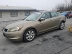 2009 Honda Accord EXL