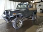 1992 Jeep Wrangler / YJ S