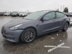 Salvage cars for sale at Rancho Cucamonga, CA auction: 2021 Tesla Model 3