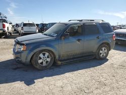 2010 Ford Escape XLT en venta en Indianapolis, IN