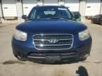 2007 Hyundai Santa FE SE