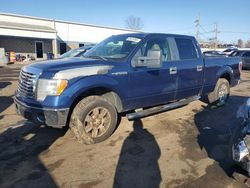 Ford f150 Supercrew salvage cars for sale: 2010 Ford F150 Supercrew