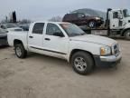 2005 Dodge Dakota Quad SLT