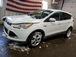 Salvage cars for sale from Copart Lyman, ME: 2014 Ford Escape SE