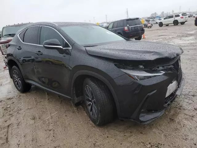 2024 Lexus NX 250 Premium