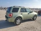 2008 Ford Escape XLT