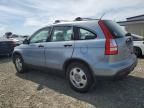 2007 Honda CR-V LX