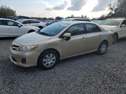 Vehiculos salvage en venta de Copart Riverview, FL: 2011 Toyota Corolla Base