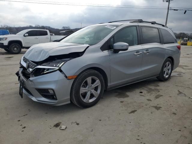 2019 Honda Odyssey EXL