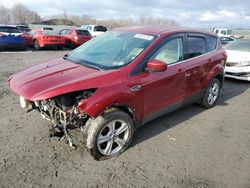 Lots with Bids for sale at auction: 2015 Ford Escape SE