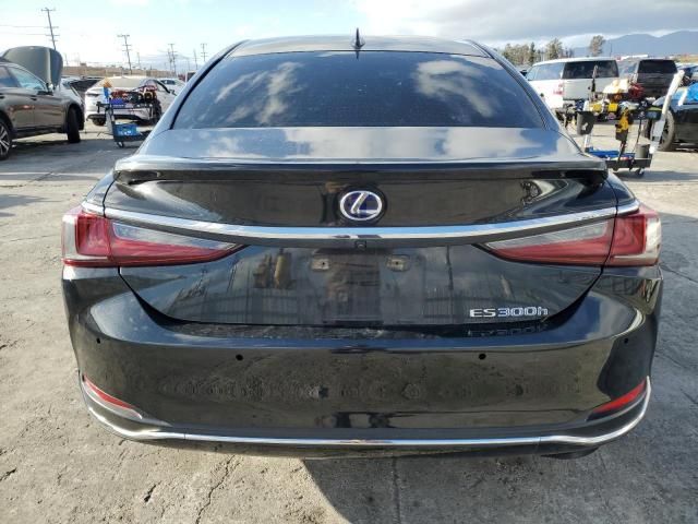 2019 Lexus ES 300H