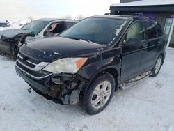 Salvage cars for sale at Montreal Est, QC auction: 2010 Honda CR-V EXL