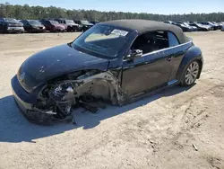 Salvage cars for sale at Harleyville, SC auction: 2014 Volkswagen Beetle