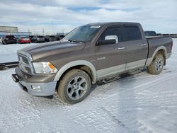 Salvage cars for sale at Rocky View County, AB auction: 2010 Dodge RAM 1500