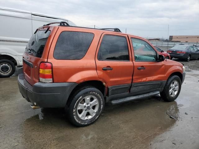 2007 Ford Escape XLT