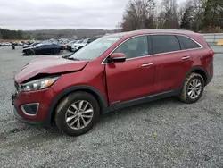 Clean Title Cars for sale at auction: 2018 KIA Sorento LX