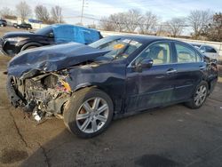 Lexus salvage cars for sale: 2007 Lexus ES 350