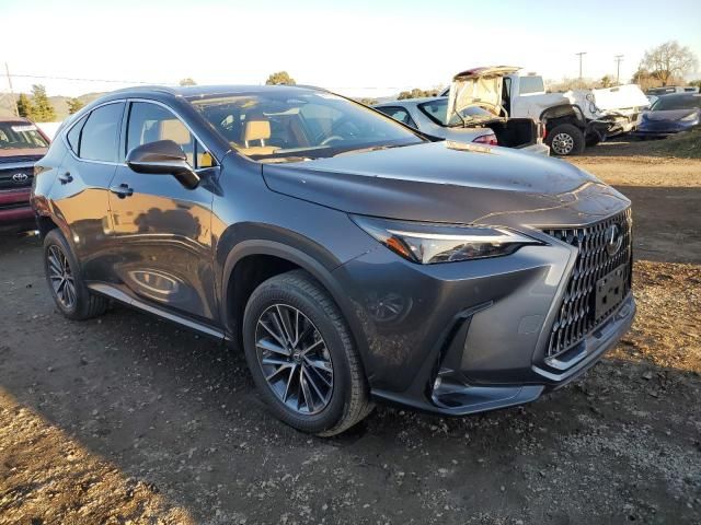 2023 Lexus NX 350H