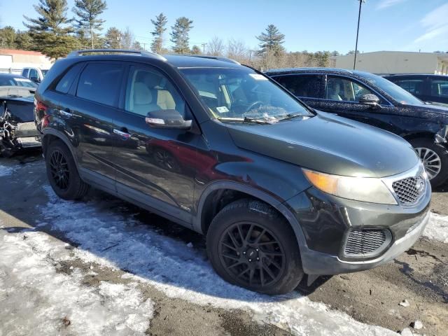 2011 KIA Sorento Base