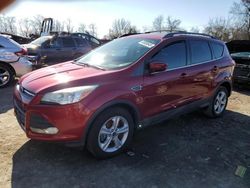 Salvage cars for sale at Baltimore, MD auction: 2013 Ford Escape SE