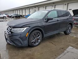 2024 Volkswagen Tiguan SE en venta en Louisville, KY