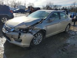 Salvage cars for sale at Baltimore, MD auction: 2014 Honda Accord EX