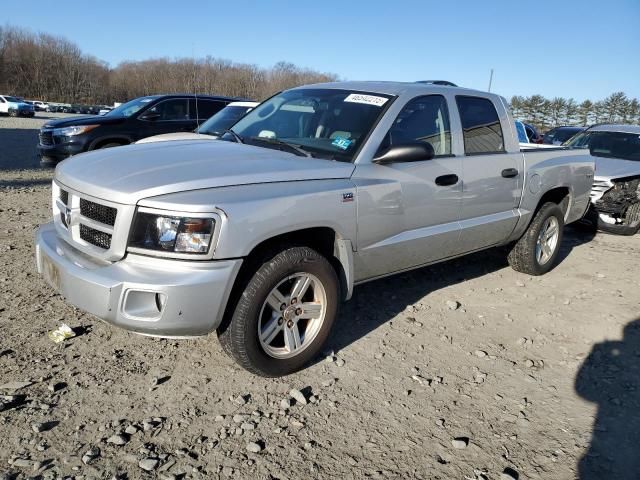 2011 Dodge Dakota SLT