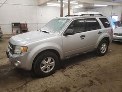 2010 Ford Escape XLT en venta en Ham Lake, MN