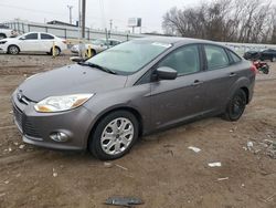 Ford Focus salvage cars for sale: 2012 Ford Focus SE