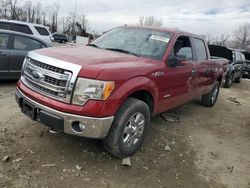 Salvage cars for sale from Copart Baltimore, MD: 2013 Ford F150 Supercrew