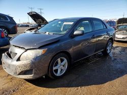 Salvage cars for sale at Elgin, IL auction: 2010 Toyota Corolla Base