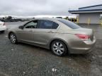 2008 Honda Accord EX