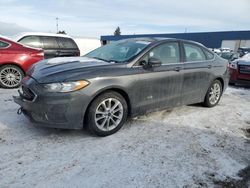 Clean Title Cars for sale at auction: 2019 Ford Fusion SE