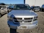 2011 Dodge Dakota SLT