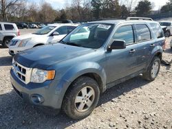 2012 Ford Escape XLT en venta en Madisonville, TN