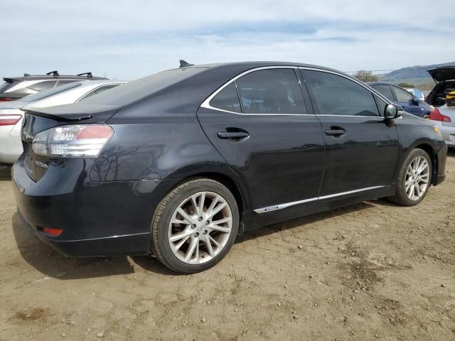 2010 Lexus HS 250H