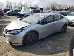 Salvage cars for sale at Baltimore, MD auction: 2023 Toyota Prius LE