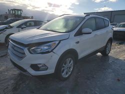 Salvage cars for sale at Wayland, MI auction: 2018 Ford Escape SE