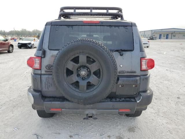 2007 Toyota FJ Cruiser