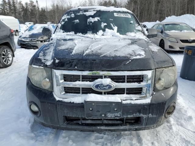 2009 Ford Escape XLT