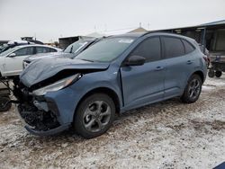 Salvage cars for sale at Brighton, CO auction: 2024 Ford Escape ST Line