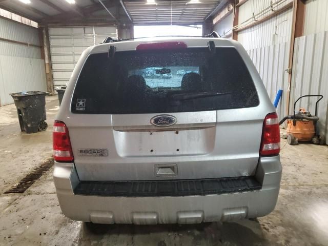 2010 Ford Escape XLT