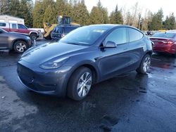 Tesla Vehiculos salvage en venta: 2023 Tesla Model Y