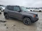 2017 Jeep Renegade Trailhawk