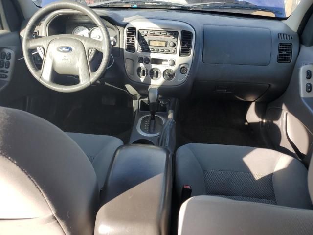 2006 Ford Escape XLT