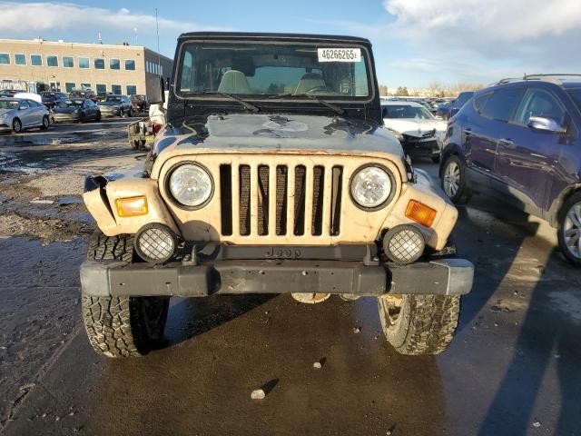 2002 Jeep Wrangler / TJ Sahara