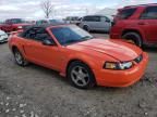 2004 Ford Mustang