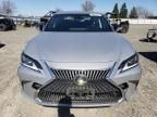 2019 Lexus ES 300H