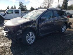 Salvage cars for sale at Graham, WA auction: 2015 Toyota Rav4 Limited